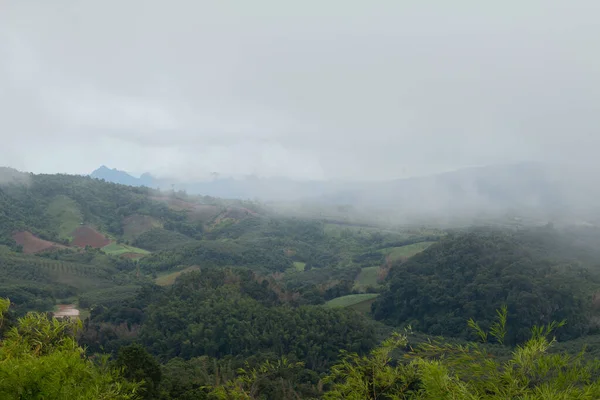 Düsterer Tag Mit Nebel Auf Den Bergen — Stockfoto