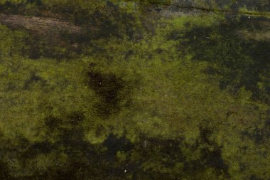 Arkaplan için eski ahşap panel dokusu, klasik doku biçimi.