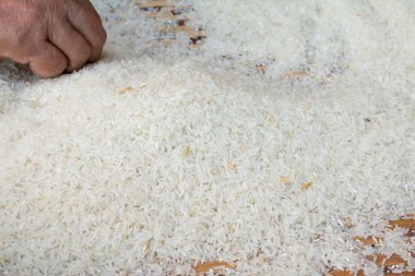 Pirinç yakın çekim.