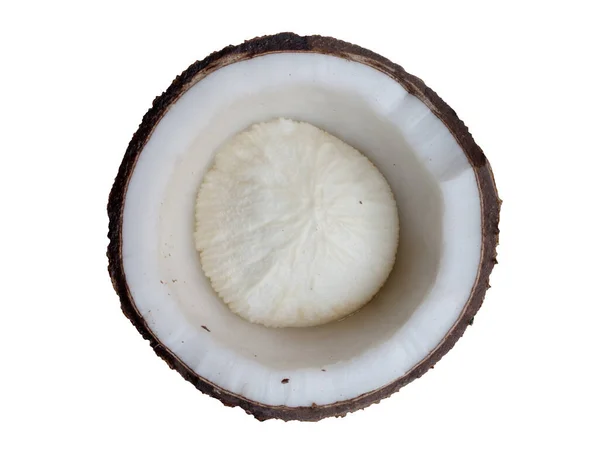 緑の背景にココナッツのクローズアップ — ストック写真