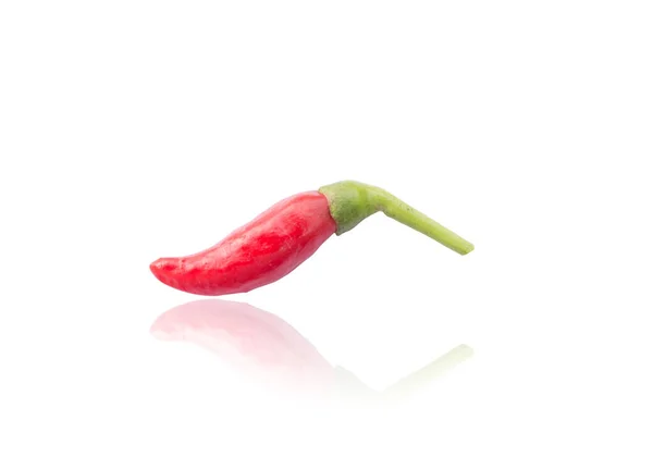 Scharfe Rote Chili Oder Chilischote — Stockfoto