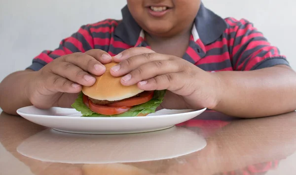Azjata Hamburgera Niezdrowe Żarcie Dla Dzieci — Zdjęcie stockowe