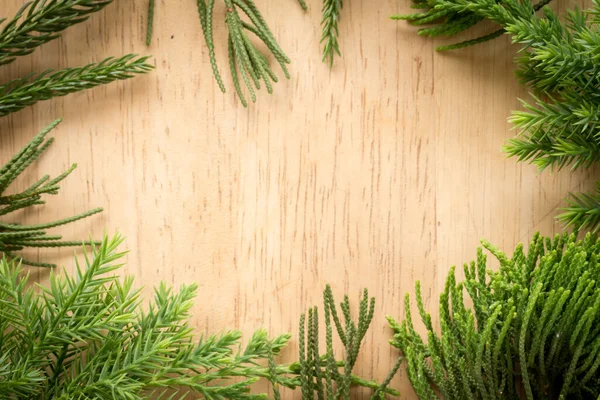 Branches Arborvitae Juniper Branches Wood Christmas Background — Stock Photo, Image