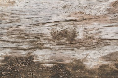 Arkaplan için eski ahşap panel dokusu, klasik doku biçimi.