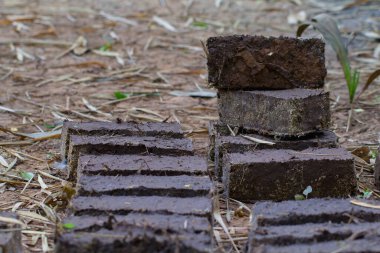 Çamur tuğlalarını ya da kilden tuğlaları aktar.