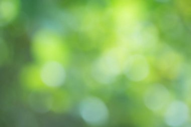 Yeşil gradyan bulanık arkaplan.