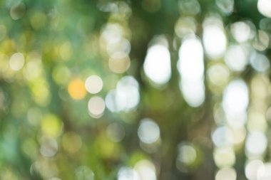 Sunum arkaplanı için doğal yeşil gradyan ışığı ve bulanık resim tasarımı.