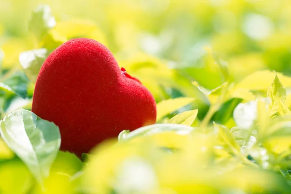 Concetto San Valentino Rosso Decorare Cuore Uno Sfondo Verde Vintage — Foto Stock