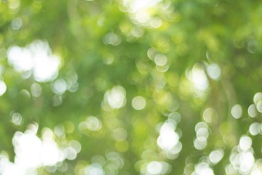 Yeşil gradyan bulanık arkaplan.