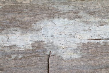 Arkaplan için eski ahşap panel dokusu, klasik doku biçimi.