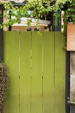 Ahşap kapı panelini kapat. Doğal yaprak kenarlı yeşil boya. Fotokopi alanı olan bir arkaplan tasarla..
