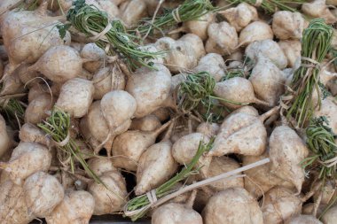 Yam fasulyesine yaklaş..