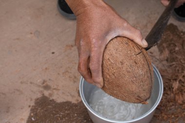 Hindistan cevizini kapat.