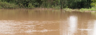 6 Ekim 2017 'de Oganik pirinç çiftliği üzerinde derin su baskını, Loei, Tayland.