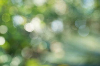 Sunum arkaplanı için doğal yeşil gradyan ışığı ve bulanık resim tasarımı.