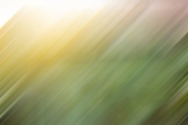 Yeşil bulanık soyut arkaplan.