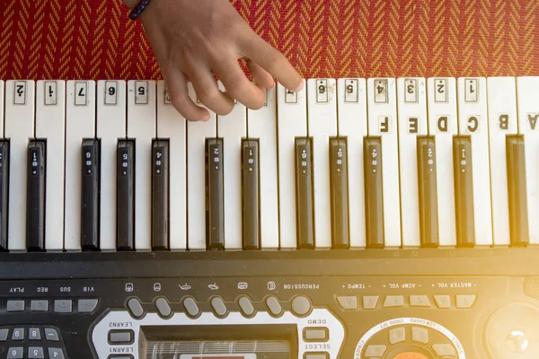 Músico Está Tocando Instrumento Musical — Fotografia de Stock