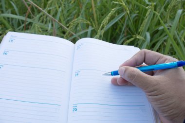 Boş kağıt ile bir kalem ve pano tutarak (belge, rapor) pirinç büyümesini kontrol.