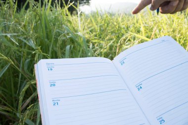 Boş kağıt ile bir kalem ve pano tutarak (belge, rapor) pirinç büyümesini kontrol.