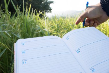 Boş kağıt ile bir kalem ve pano tutarak (belge, rapor) pirinç büyümesini kontrol.