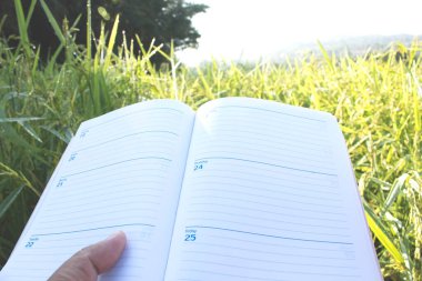 Boş kağıt ile bir kalem ve pano tutarak (belge, rapor) pirinç büyümesini kontrol.