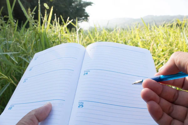 Boş kağıt ile bir kalem ve pano tutarak (belge, rapor) pirinç büyümesini kontrol.