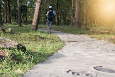 Garden Walkway 'de yürüyen gezgin.