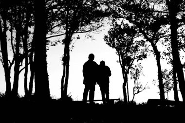 Aşk silueti Ağaçlarda bir çift sınır, arka ve beyaz tonda.