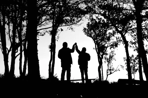 Silhouette Love Couple Trees Border Back White Tone — Stock Photo, Image