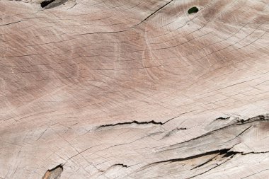 Arkaplan için ahşap panel dokusu.