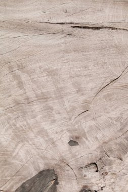 Arkaplan için ahşap panel dokusu.