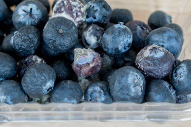 Çürümüş yaban mersini, çürümüş yaban mersini.