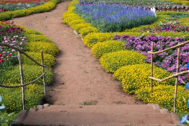 Güzel çiçek tarlalarının manzarası.
