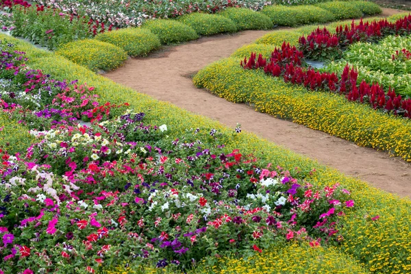 Blurred Landscape Flower Garden Background — Stock Photo, Image