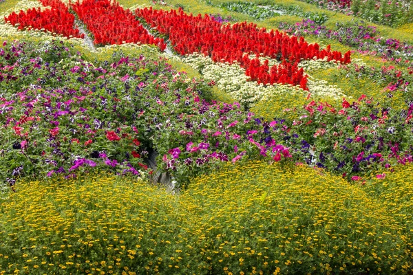 Landschaft Der Schönen Blumengarten — Stockfoto