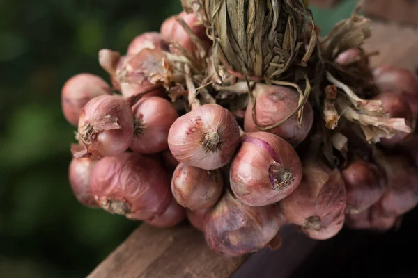 Kaliteli mutfaktaki ahşap masanın üzerindeki arpacık soğanının kapağı..