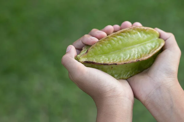 Mão Segurando Fruta Estrela Maçã Com Fundo Natural Fresco Verde — Fotografia de Stock