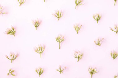 Pembe arka planda küçük pembe çiçek deseni.