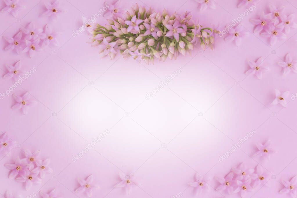 Bouquet of little pink flowers on pink background.