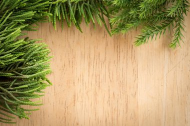 Ağaç dalları, tahta Noel arka planında ardıç dalları.