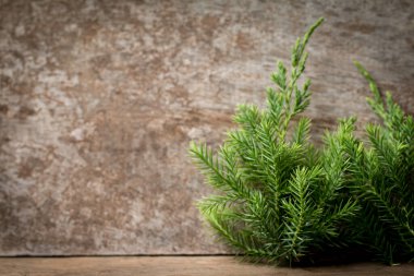 Ağaç dalları, tahta Noel arka planında ardıç dalları.