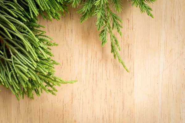 Branches Arborvitae Juniper Branch Wood Background — 스톡 사진