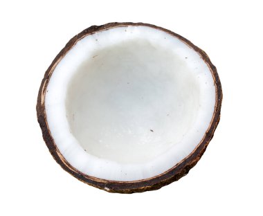 Yeşil arkaplanda hindistan cevizini kapat.