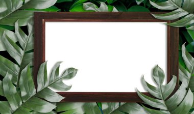 Tasarımınız için boş ahşap çerçeveli tropik palmiye yaprakları. Summer Styled. Düz konum, asıl boyut 6408 X 3780 piksel .