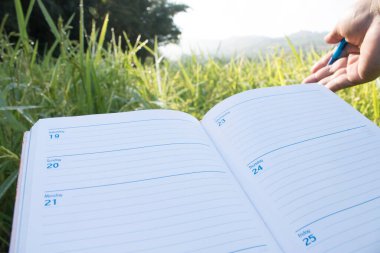 Boş kağıt ile bir kalem ve pano tutarak (belge, rapor) pirinç büyümesini kontrol.