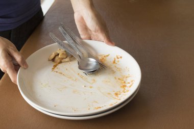 Yemekten sonra boş tabak.