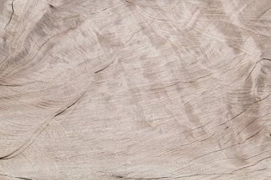 Arkaplan için ahşap panel dokusu.