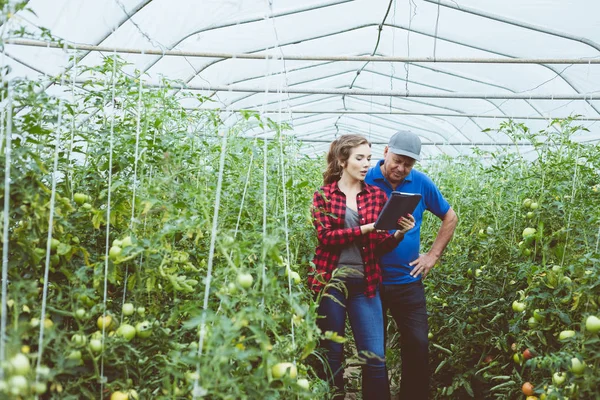 Mujer Joven Hablando Con Hombre Mayor Pie Entre Las Plantas —  Fotos de Stock