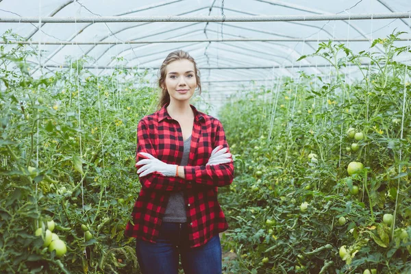 Joven Agricultora Sonriente Pie Con Los Brazos Cruzados Entre Plantas —  Fotos de Stock