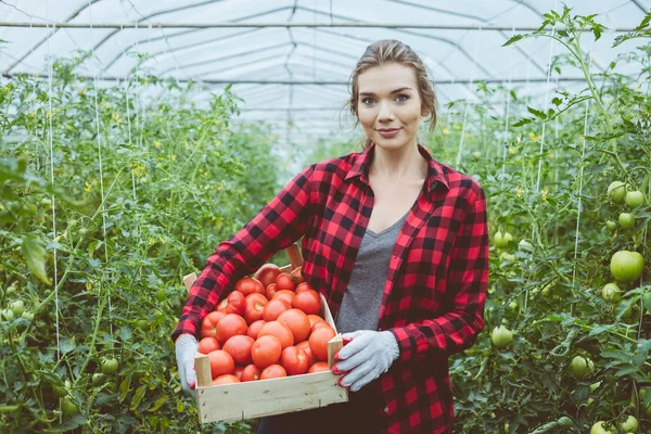 Young Woman Standing Greenhouse Holding Box Organic Tomatoes Smiling Camera — Stock Photo, Image